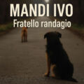 Te ne sei andato come sei arrivato, Ivo.